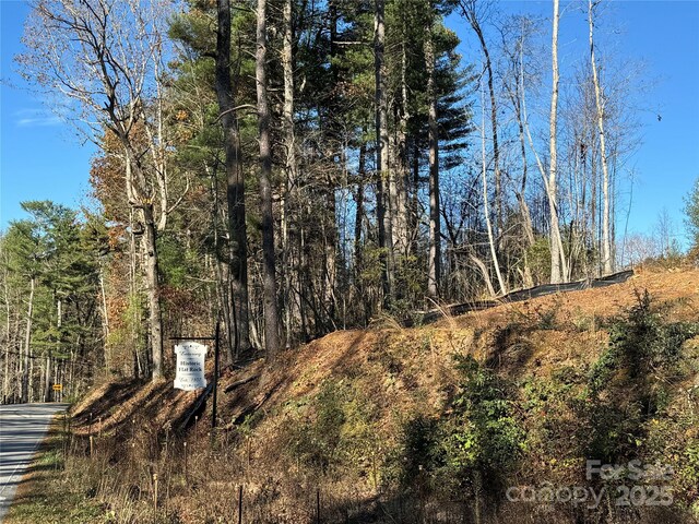 3200 Greenville Hwy, Flat Rock, NC 28731 - photo 4