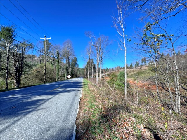3200 Greenville Hwy, Flat Rock, NC 28731 - photo 6