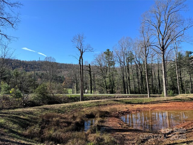 3200 Greenville Hwy, Flat Rock, NC 28731 - photo 7