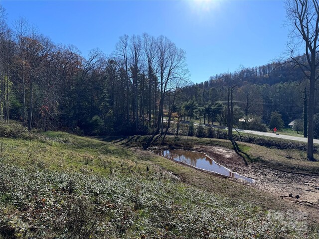 3200 Greenville Hwy, Flat Rock, NC 28731 - photo 8