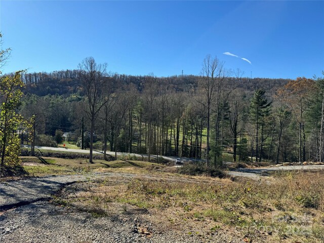 3200 Greenville Hwy, Flat Rock, NC 28731 - photo 9