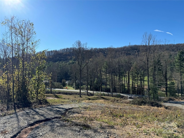 3200 Greenville Hwy, Flat Rock, NC 28731 - photo 10