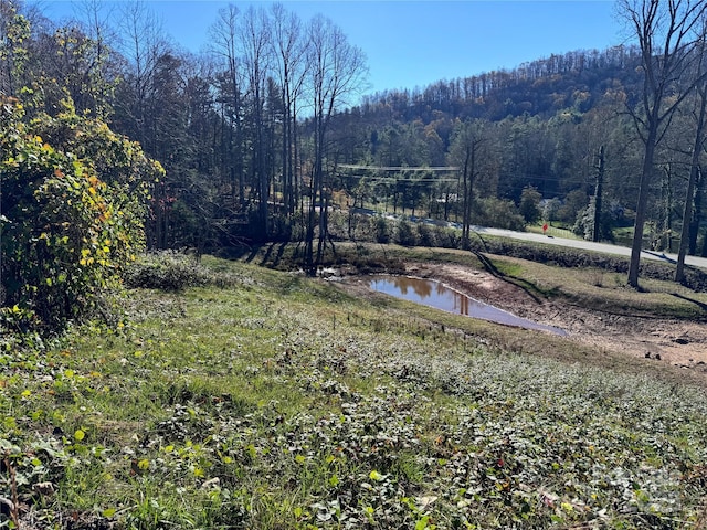 3200 Greenville Hwy, Flat Rock, NC 28731 - photo 11