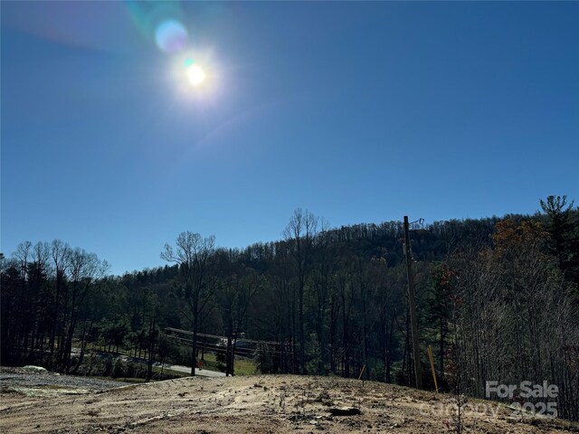 3200 Greenville Hwy, Flat Rock, NC 28731 - photo 13