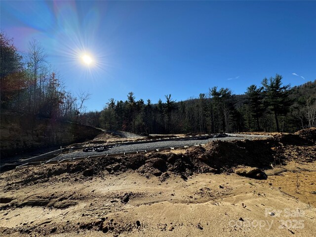 3200 Greenville Hwy, Flat Rock, NC 28731 - photo 15