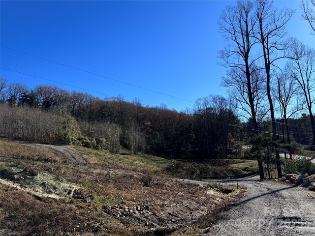 3200 Greenville Hwy, Flat Rock, NC 28731 - photo 17