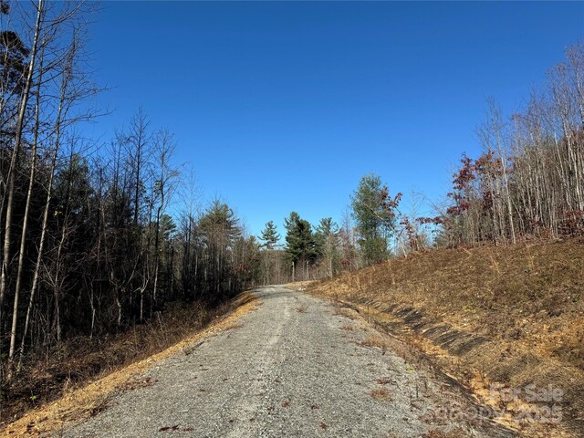 3200 Greenville Hwy, Flat Rock, NC 28731 - photo 18