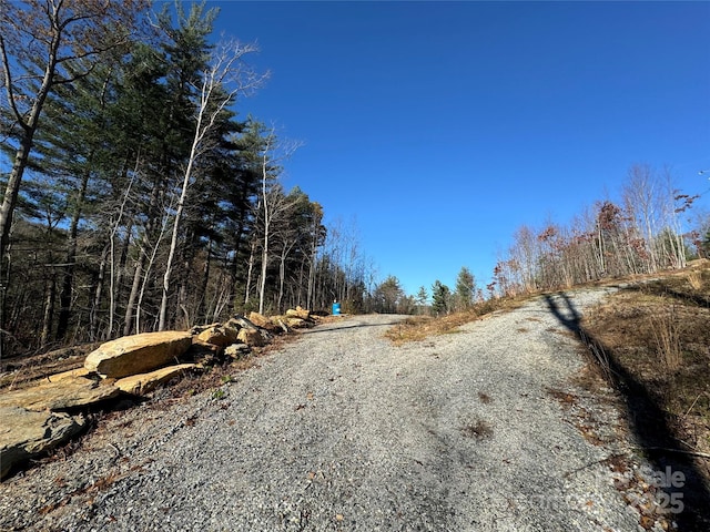 3200 Greenville Hwy, Flat Rock, NC 28731 - photo 19