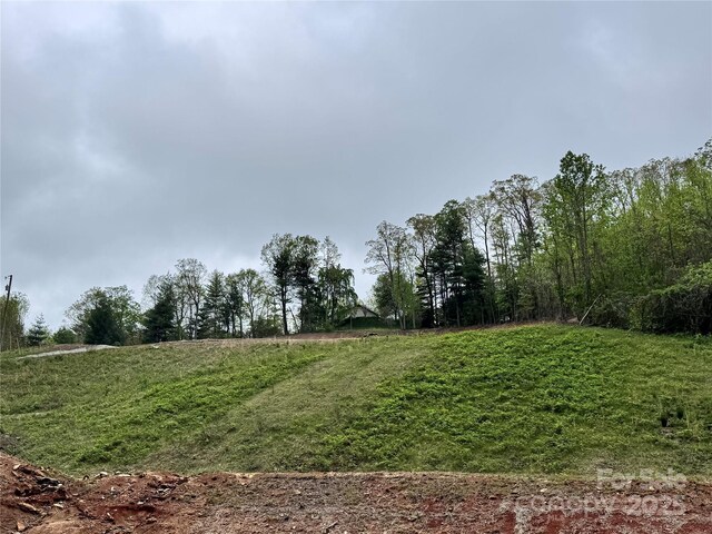 3200 Greenville Hwy, Flat Rock, NC 28731 - photo 21