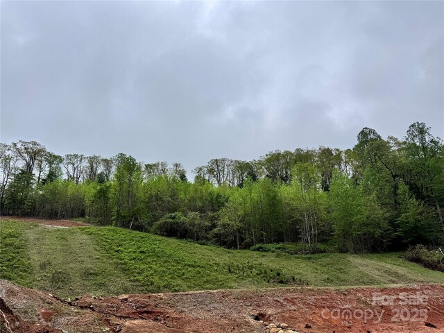 3200 Greenville Hwy, Flat Rock, NC 28731 - photo 22