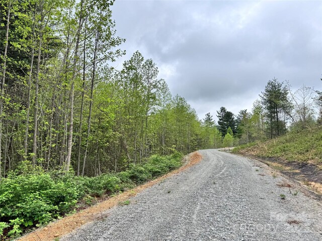 3200 Greenville Hwy, Flat Rock, NC 28731 - photo 25