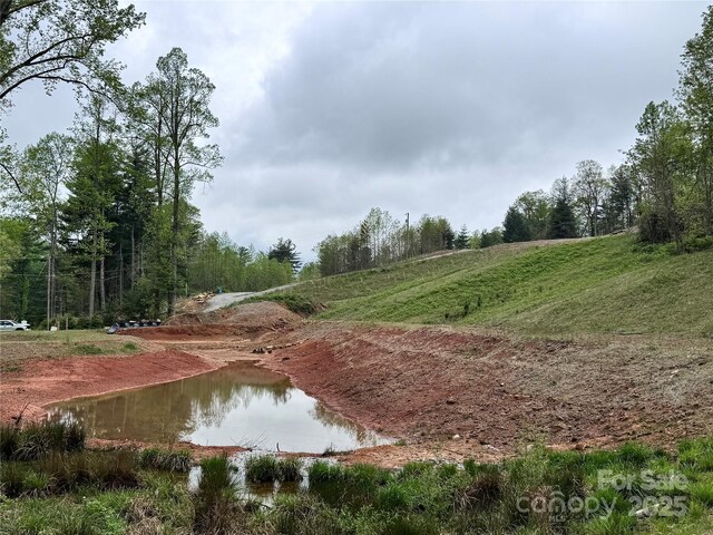 3200 Greenville Hwy, Flat Rock, NC 28731 - photo 27
