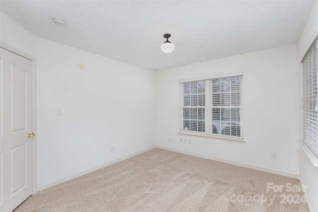 empty room featuring light colored carpet