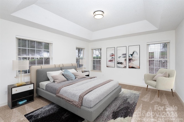 bedroom with light carpet, a raised ceiling, and multiple windows