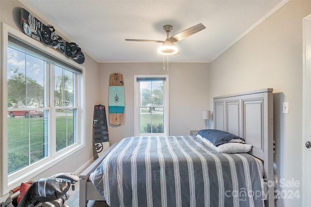 bedroom featuring ceiling fan, ornamental molding, and multiple windows