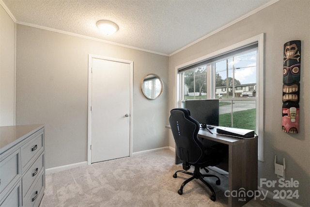 carpeted office with a textured ceiling and ornamental molding