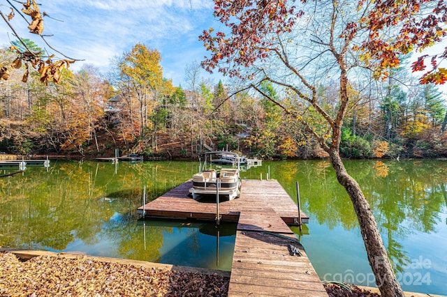 dock area with a water view