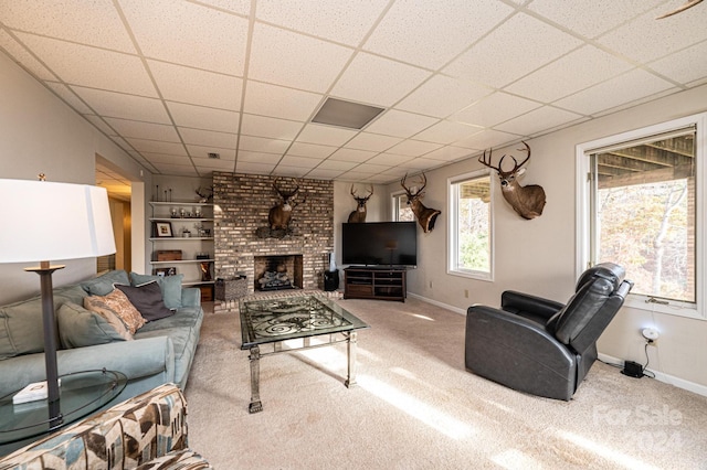 carpeted living room with a paneled ceiling and a fireplace