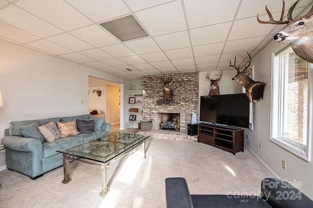 carpeted living room with a fireplace and a drop ceiling