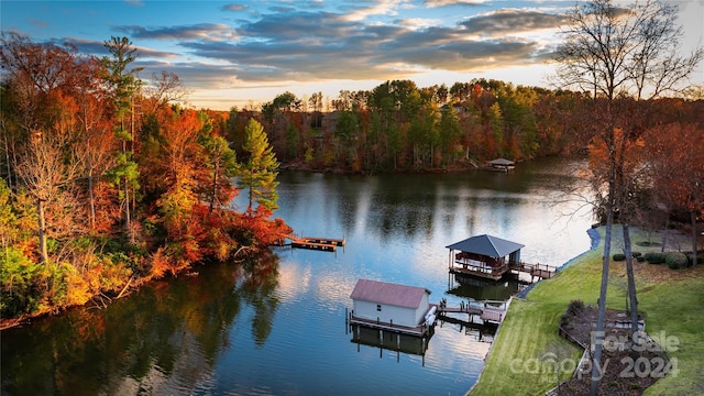 dock area with a water view