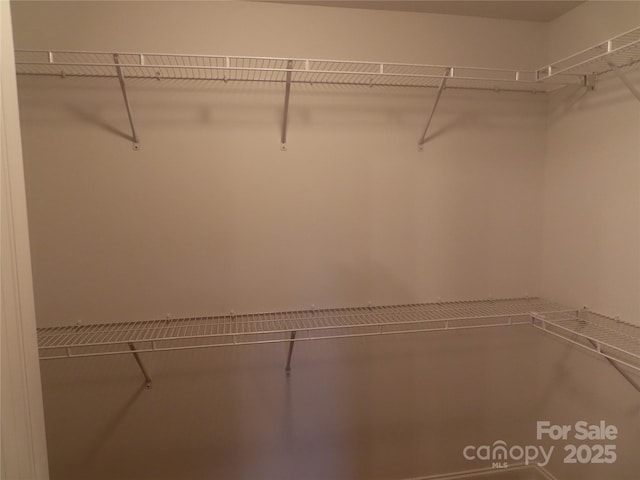 view of spacious closet