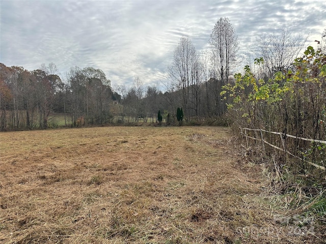 view of yard featuring a rural view