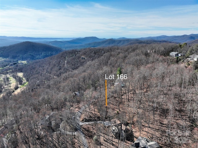 9999 Walnut Dr Unit 166, Mills River, NC 28759 - photo 1