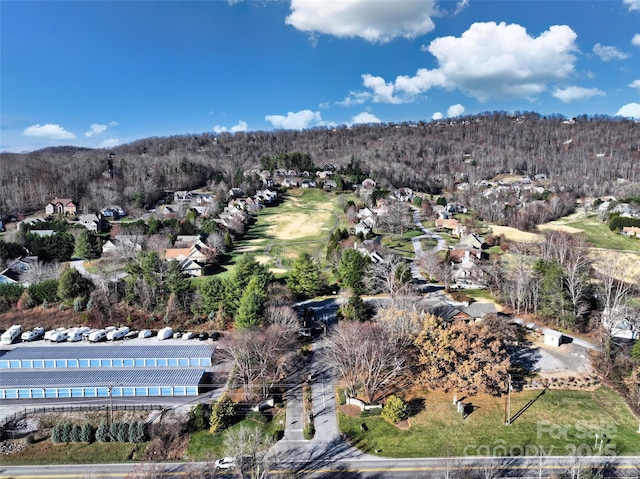9999 Walnut Dr Unit 166, Mills River, NC 28759 - photo 4