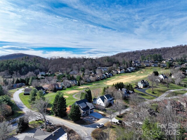 9999 Walnut Dr Unit 166, Mills River, NC 28759 - photo 5