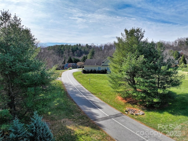 9999 Walnut Dr Unit 166, Mills River, NC 28759 - photo 8