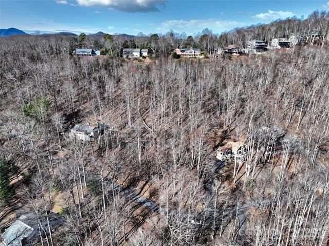 9999 Walnut Dr Unit 166, Mills River, NC 28759 - photo 9