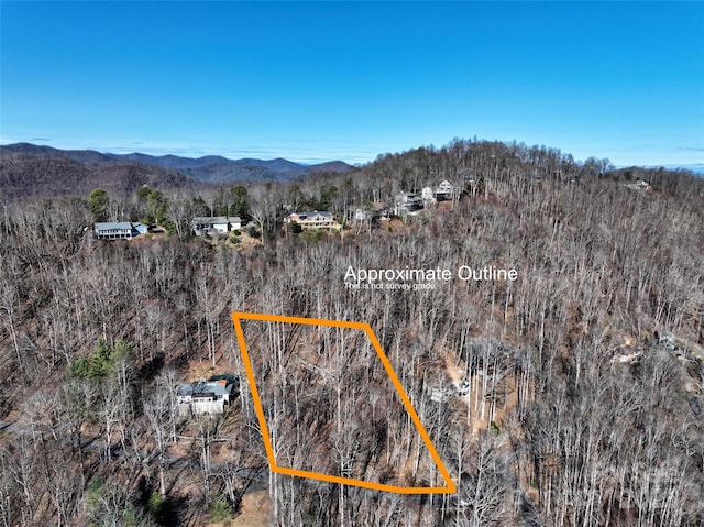9999 Walnut Dr Unit 166, Mills River, NC 28759 - photo 10