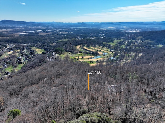 9999 Walnut Dr Unit 166, Mills River, NC 28759 - photo 11