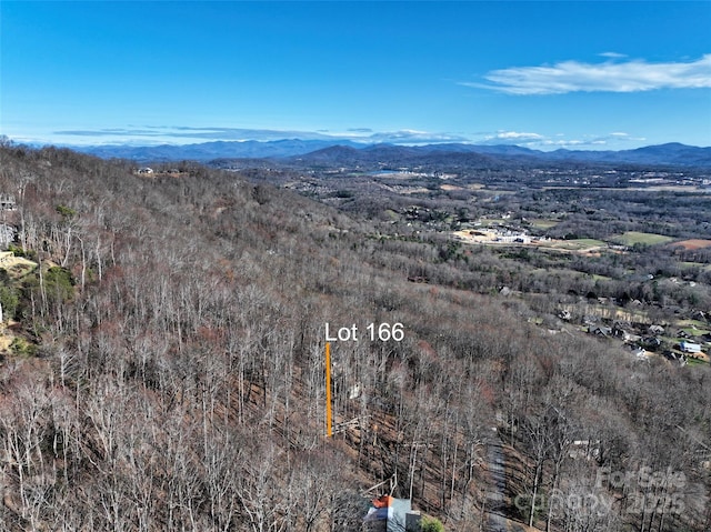 9999 Walnut Dr Unit 166, Mills River, NC 28759 - photo 12