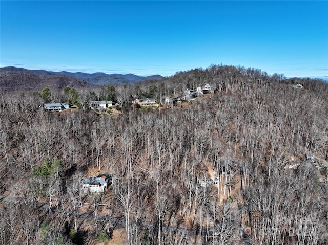 9999 Walnut Dr Unit 166, Mills River, NC 28759 - photo 13