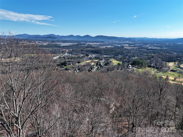 9999 Walnut Dr Unit 166, Mills River, NC 28759 - photo 14