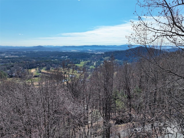 9999 Walnut Dr Unit 166, Mills River, NC 28759 - photo 15
