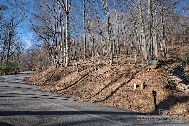 9999 Walnut Dr Unit 166, Mills River, NC 28759 - photo 16