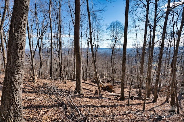 9999 Walnut Dr Unit 166, Mills River, NC 28759 - photo 17