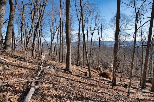 9999 Walnut Dr Unit 166, Mills River, NC 28759 - photo 18