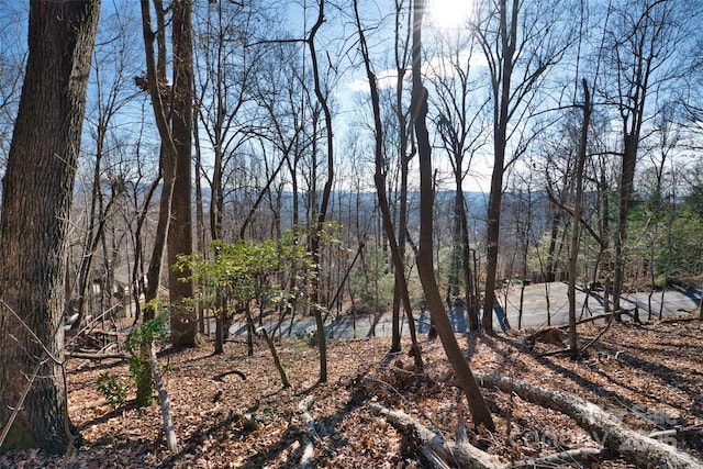 9999 Walnut Dr Unit 166, Mills River, NC 28759 - photo 19