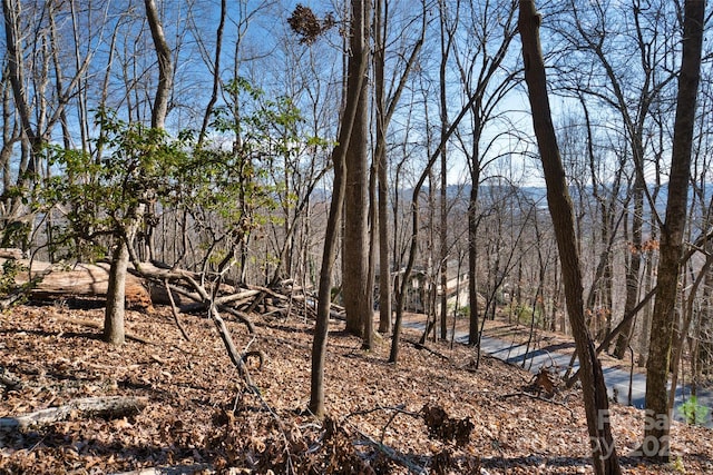 9999 Walnut Dr Unit 166, Mills River, NC 28759 - photo 20