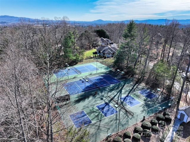 9999 Walnut Dr Unit 166, Mills River, NC 28759 - photo 24