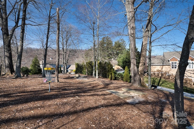 9999 Walnut Dr Unit 166, Mills River, NC 28759 - photo 28
