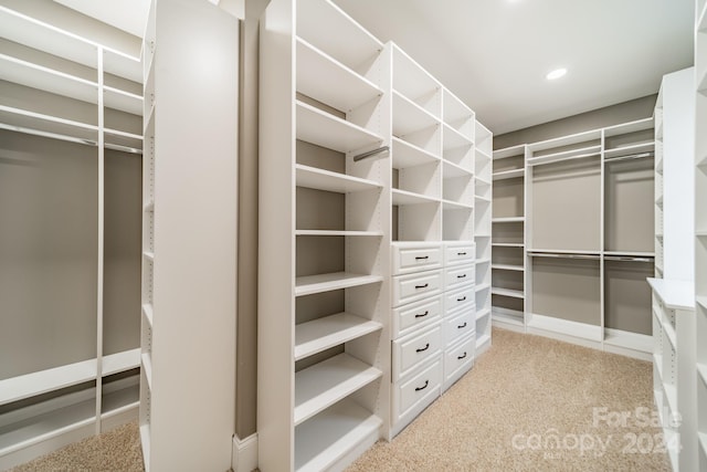 walk in closet with light colored carpet