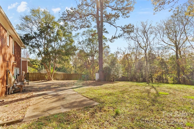 view of yard featuring a patio