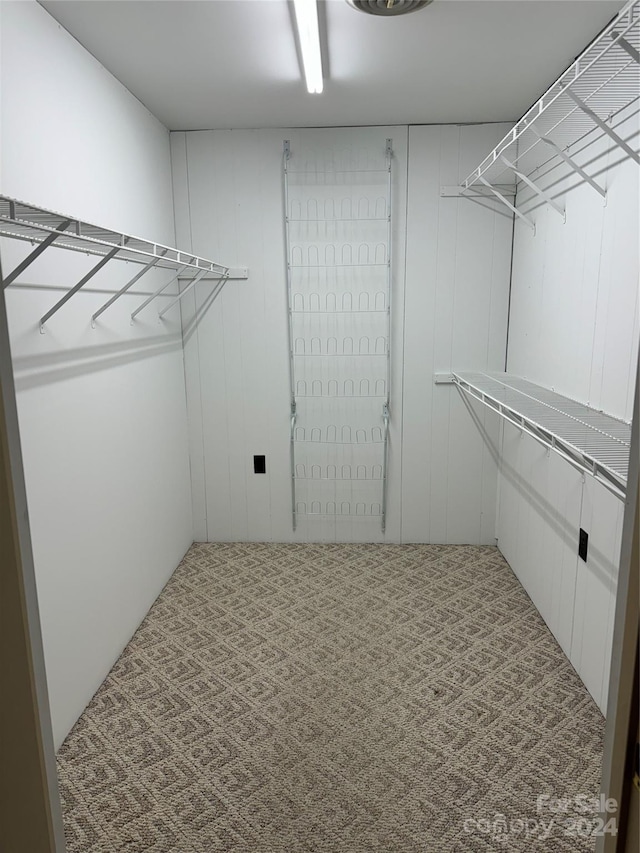 spacious closet with carpet flooring