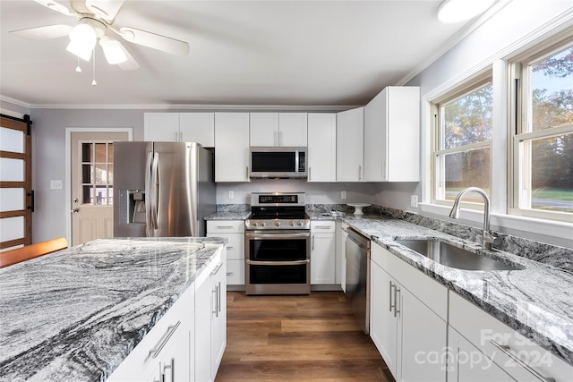 kitchen featuring sink, dark hardwood / wood-style floors, a barn door, white cabinetry, and stainless steel appliances