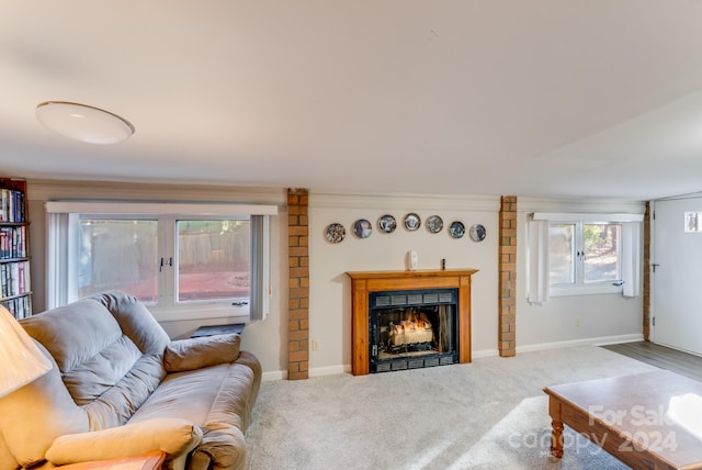 carpeted living room featuring ornamental molding