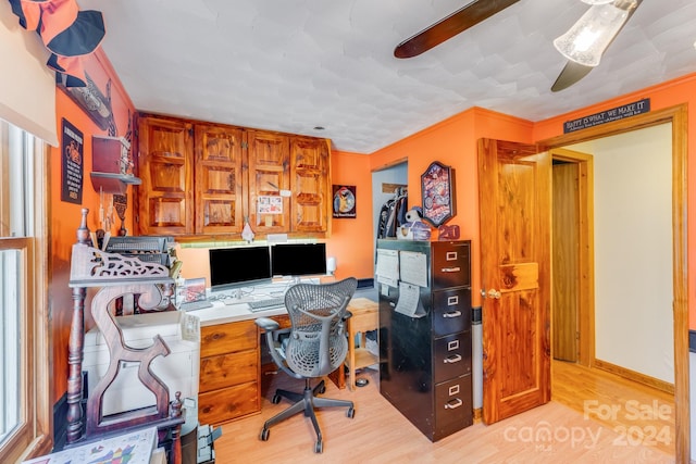 office featuring ceiling fan, crown molding, and light wood-type flooring